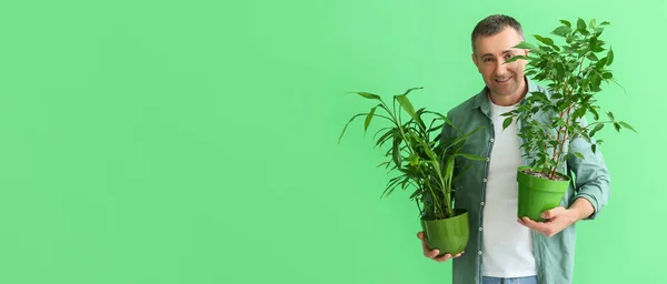 Hombre Maduro Con Plantas Interior Sobre Fondo Verde Con Espacio — Foto de Stock
