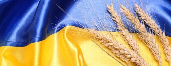 Ukrayna Bayrağında Buğday Dalları Yakın Plan — Stok fotoğraf