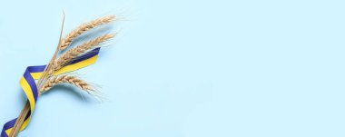 Açık mavi zemin üzerinde açık mavi arkaplan üzerinde Ukrayna bayrağı renginde buğday başlıkları ve kurdeleler metin için boşluk