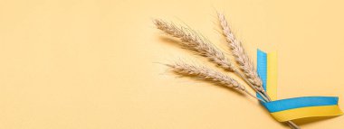 Bej arkaplan üzerinde Ukrayna bayrağı renginde buğday başlıkları ve kurdeleler metin için boşluk