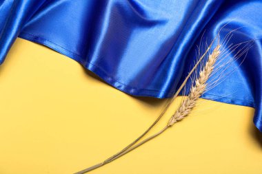 Ukrayna bayrağında buğday filizi