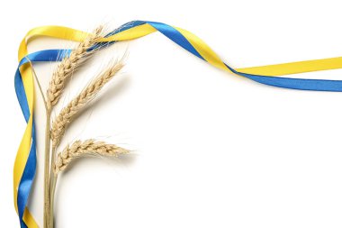 Açık arkaplanda Ukrayna bayrağı renginde buğday başlıkları ve kurdeleler