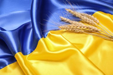 Ukrayna bayrağında buğday dalları