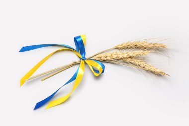 Açık arkaplanda Ukrayna bayrağı renginde buğday başlıkları ve kurdeleler