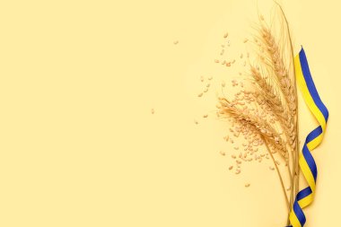 Renkli Ukrayna bayrağı renginde tahıl ve kurdelelerle buğday dalları