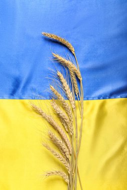 Ukrayna bayrağında buğday dalları