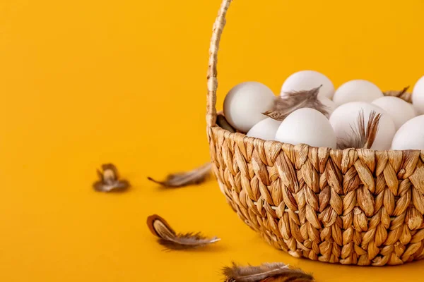 Καλάθι Λευκά Αυγά Κοτόπουλου Και Φτερά Στο Φόντο Χρώμα — Φωτογραφία Αρχείου