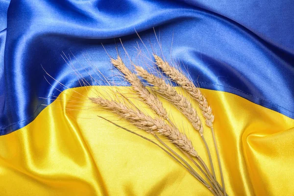 Búza Tüske Zászló Ukrajna — Stock Fotó