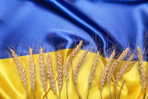 乌克兰国旗上的麦穗 — 图库照片