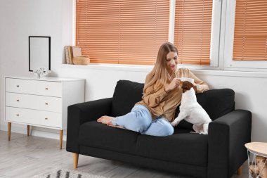 Bir fincan çayla genç bir kadın ve evdeki siyah koltukta oturan Jack Russel Terrier.