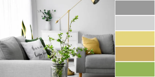 Vase Blooming Tree Branches Living Room Different Color Patterns — ストック写真