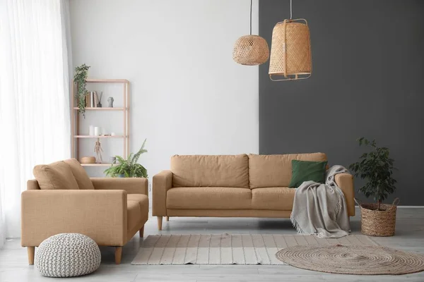 Interior Light Living Room Sofas Shelving Unit Houseplants — 스톡 사진