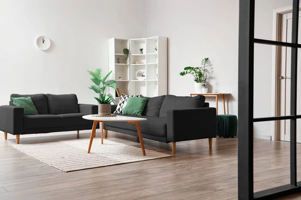 Interior Ruang Tamu Cahaya Dengan Meja Sofa Hitam Dan Tanaman — Stok Foto