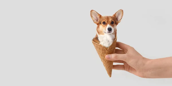 Hand Hält Lustigen Corgi Hund Waffelkegel Auf Hellem Hintergrund Mit — Stockfoto