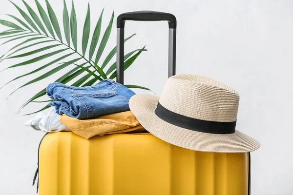 Clothes Hat Palm Leaf Suitcase Light Background Closeup — 스톡 사진