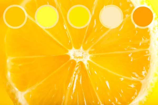 Лимонный Ломтик Крупным Планом Различные Цветовые Схемы — стоковое фото