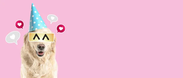 Cute Labrador Dog Drawn Eyes Birthday Cap Pink Background Space — Photo