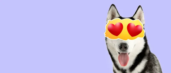 Adorable Husky Dog Hearts Instead Eyes Lilac Background Space Text — Stockfoto