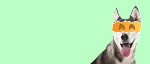 Roztomilý Pes Vykreslenýma Očima Zeleném Pozadí Prostorem Pro Text — Stock fotografie