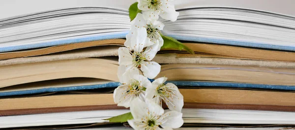 Open Books Beautiful Spring Flowers Closeup — Stockfoto