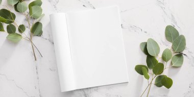 Boş dergi ve okaliptüs arkaplan dalları