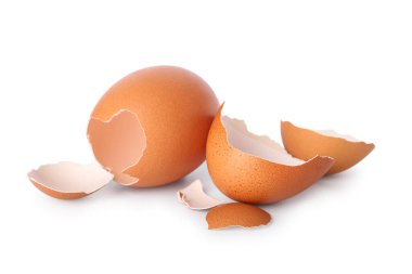 beyaz zemin üzerine yumurta kabukları