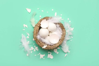 Yuvalı kompozisyon, kırık yumurta kabukları ve renk arkaplan tüyleri