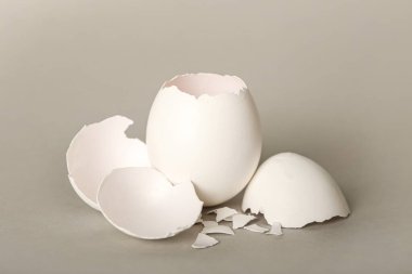 Kırık yumurta kabukları açık arkaplanda