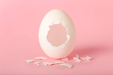 Kırık yumurta kabuğu üzerinde pembe bir arka plan