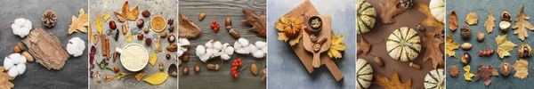 Collage Many Autumn Leaves Berries Pumpkins Nuts Top View — Foto de Stock