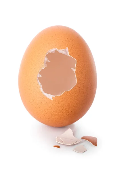Cáscara Huevo Sobre Fondo Blanco —  Fotos de Stock
