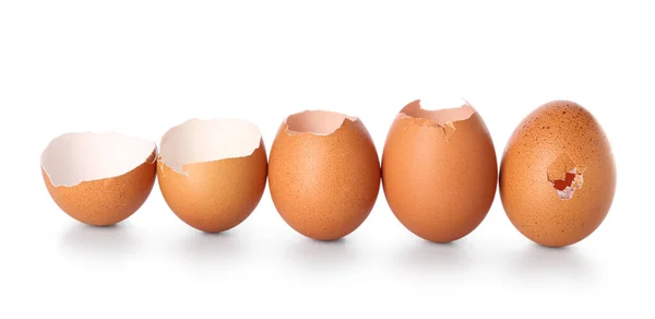Beyaz Zemin Üzerinde Yumurta Kabukları Olan Kompozisyon — Stok fotoğraf