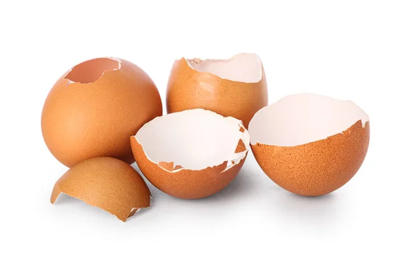 Many Egg Shells White Background — Photo
