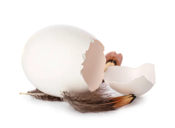 Beyaz Arkaplanda Tüyleri Olan Yumurta Kabuğu — Stok fotoğraf