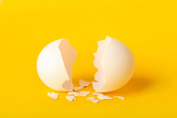 Cracked Egg Shell Color Background — Photo