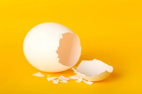 Cracked Egg Shell Color Background — Photo