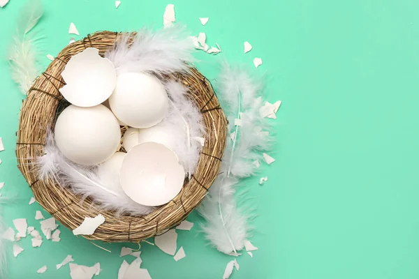 Yuvalı bileşim, yumurta kabukları ve renk arkaplanındaki tüyler