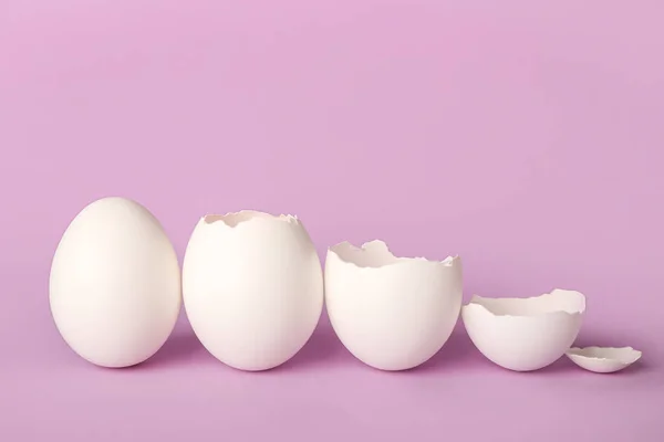 Different Egg Shells Lilac Background — Photo
