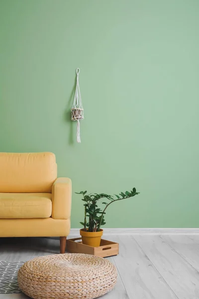 Comfortable Armchair Pouf Houseplant Green Wall Room — Stock Photo, Image