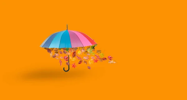Rainbow Umbrella Autumn Leaves Orange Background — Stock fotografie