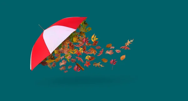 Stylish Umbrella Autumn Leaves Color Background — Zdjęcie stockowe
