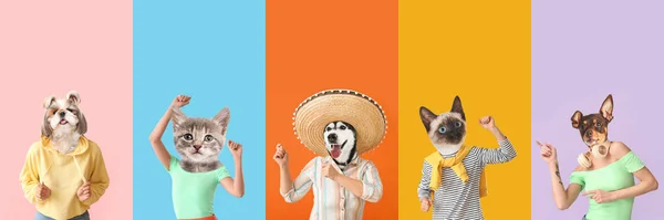 Niedliche Katzen Und Hunde Mit Menschlichen Körpern Auf Farbigem Hintergrund — Stockfoto