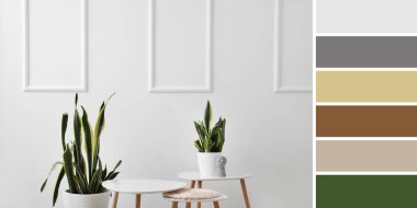 Modern masalar ve aydınlık duvarın yanındaki bitkiler. Farklı renk desenleri