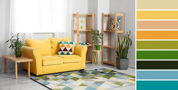 Comfortable Sofa Shelf Units Tables Houseplants Living Room Different Color — ストック写真