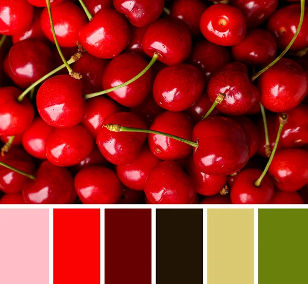 Many Sweet Cherries Background Different Color Patterns — Stock Photo, Image