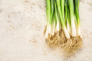 Açık arkaplanda taze yeşil soğan, yakın plan.