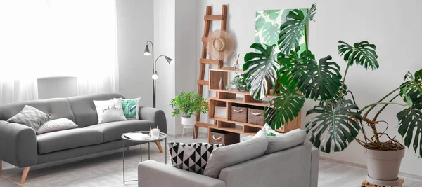 Sofa Armchair Tropical Houseplant Table Interior Living Room — Stok fotoğraf