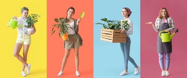 Conjunto Jardineras Femeninas Con Plantas Sobre Fondo Colorido —  Fotos de Stock
