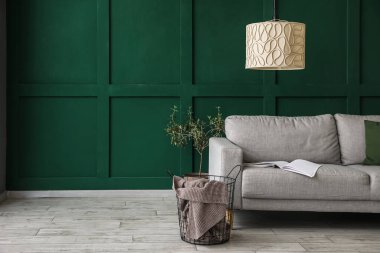 Grey sofa, basket with plaid, houseplant and standard lamp near green wall