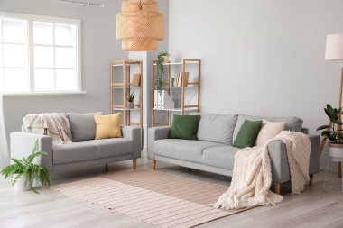 Gri koltukları, raf üniteleri ve ev bitkileriyle aydınlık oturma odasının içinde.